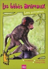 V448119 - Bébés animaux 