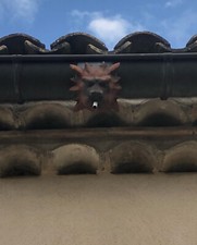 gargouille pour gouttière