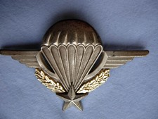 INSIGNE  ANCIEN BREVET PARA