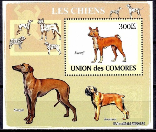 Comore 2009 chiens animaux - comore,