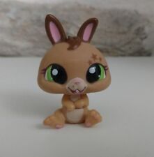 Petshop Lapin nain  / LPS 1497