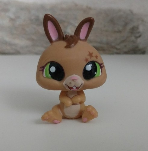 Petshop lapin nain - nain,