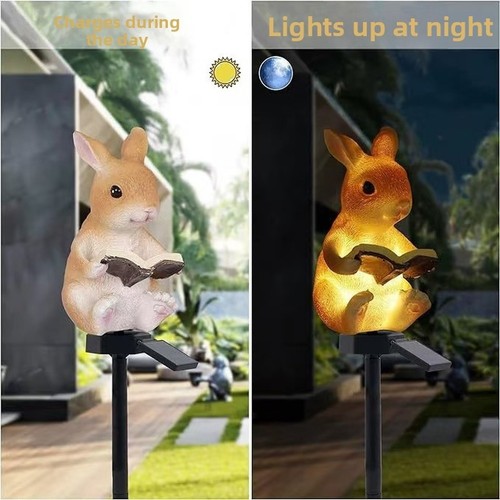 Pour lapin résine - pour, en