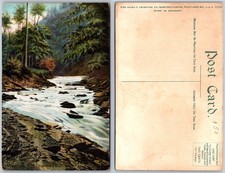 Westfield NY Patterson Falls Postcard