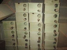 12 nid inseparable,perruche anglaise,catherine,forpus ou toui en bois