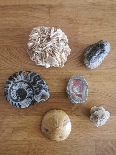 Lot fossiles pierres - fossiles,