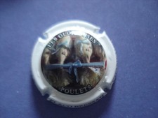 Nouvelle capsule de champagne