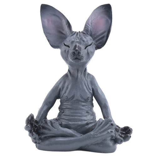 Chat sphynx méditer - chat,