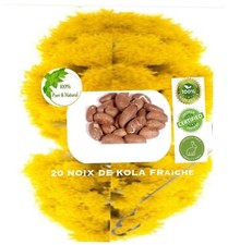 NOIX DE PETIT COLA  FRAICHE