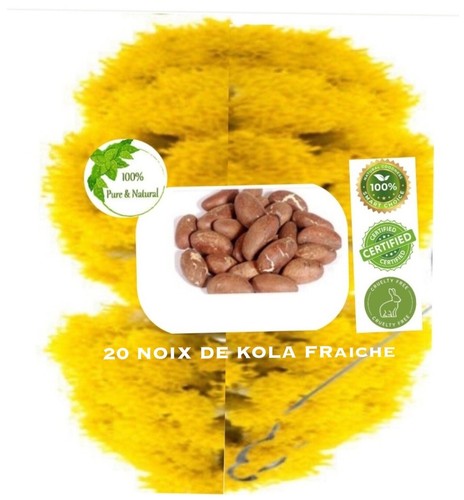 Noix petit cola fraiche - noix,