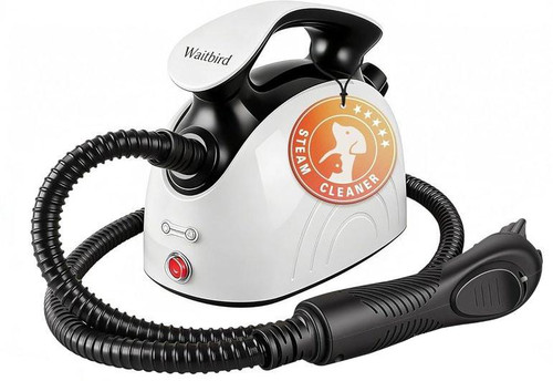 Aspirateur-vapeur