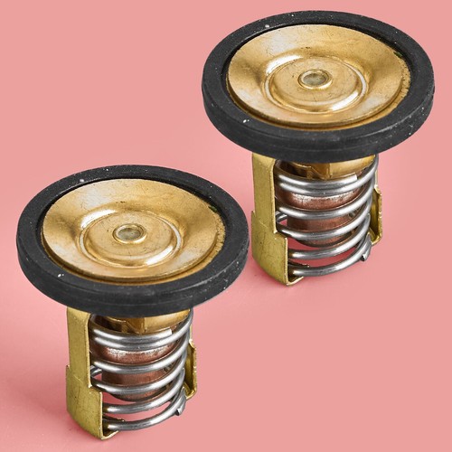 Thermostat pour mercury - thermostat,