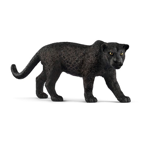 Wild life panthère noire - wild,