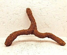 BOIS SABLÉ mangrove racine  araignée 18X18 spider aquascaping nano aquarium Z3