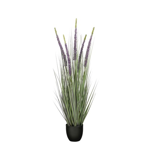 Mica decorations eremurus - decorations,