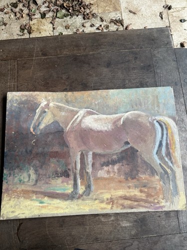 Horse study late - late, 19th