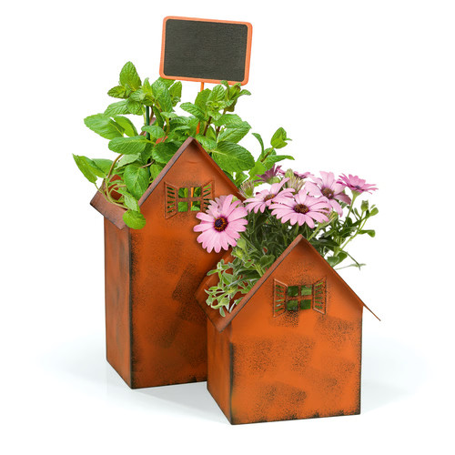 Pot fleurs plantes - pot, de
