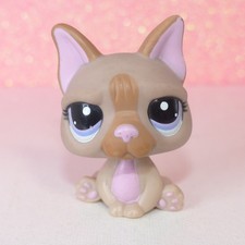 authentic littlest LPS petshop 1896 dog dog dog bulldog French bulldog