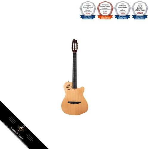 Guitare électro acoustique - guitare, en