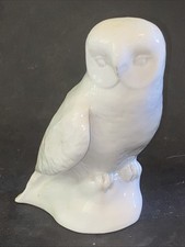 Grande Chouette Hibou brûle