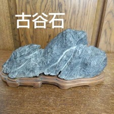 Suiseki Bonseki Bonsai Jardin