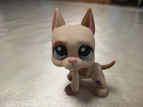 Hasbro lps petshop 1647 - lps, #1647