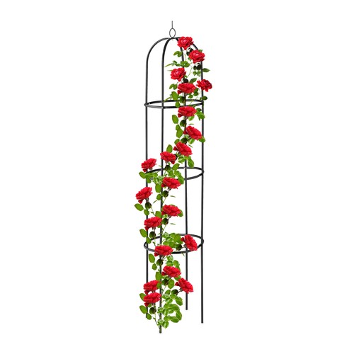 Support plantes grimpantes