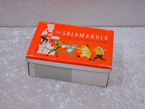 Salamander design boîte - design, pour