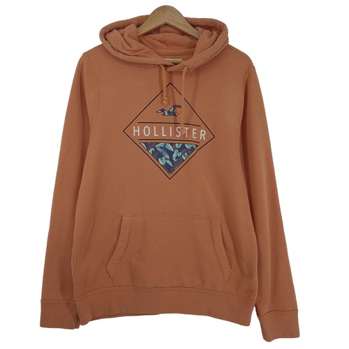 Hollister hoodie homme - hoodie, en