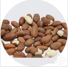 NOIX DE PETIT COLA  - BITTA