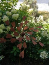 Rouille noble éolienne cœur