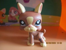 Petshop Chien Boston terrier #1789