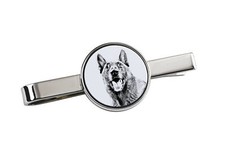 Malinois Berger Belge Pin De
