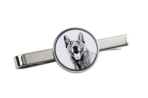 Malinois berger belge - belge, pin