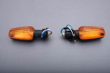 Paire Clignotants Avant