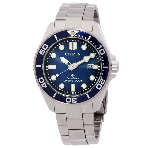 Citizen promaster dive - citizen,