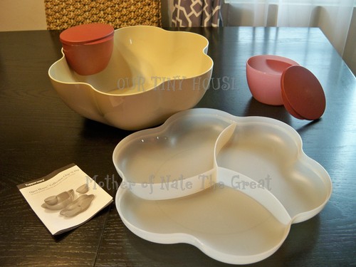 New tupperware chip - tupperware, n