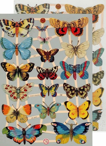Chromo découpis papillon - ef,