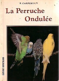 Perruche ondulée r - ondulée,