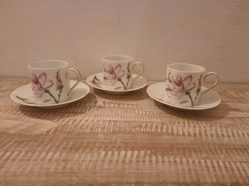 Tasses sous - tasses,