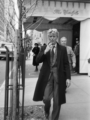 Photo david bowie sur - photo, madison