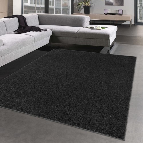 Tapis pour entrée couloir - tapis,