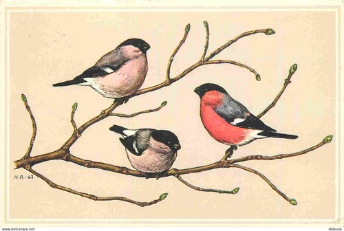 Carte postale animaux - postale,