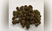 1kg CBD Harlequin
