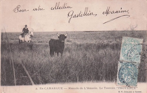 Camargue manade de - camargue,
