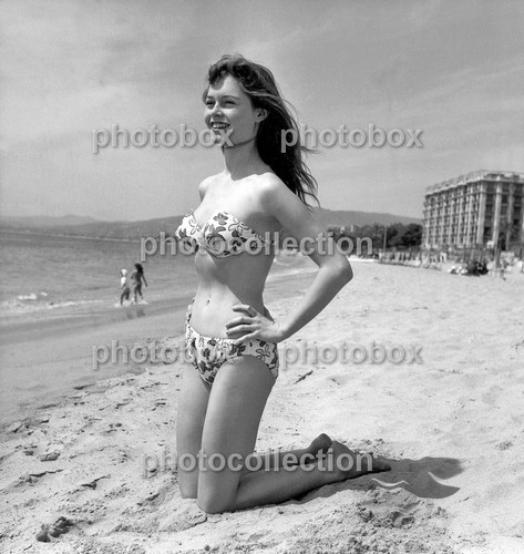 Bardot exclusive rare - ,