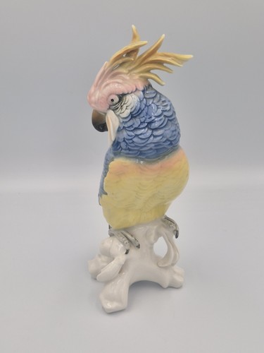 Karl ens cacatoes en - karl, ,
