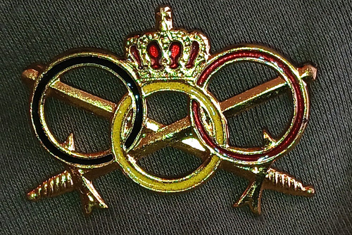 Insigne militaire badge - insigne,
