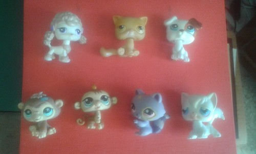 Petshops dog cat monkey - petshops:, cat,
