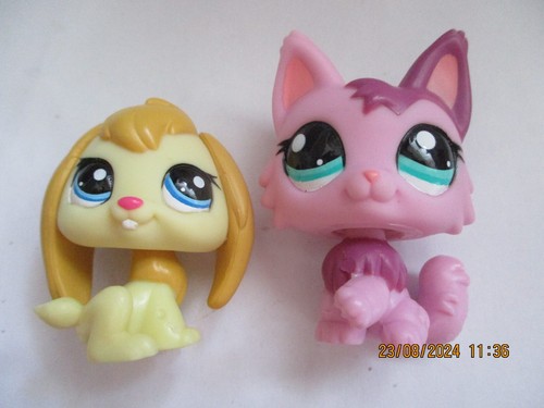Petshop duo chat persan - petshop, :
